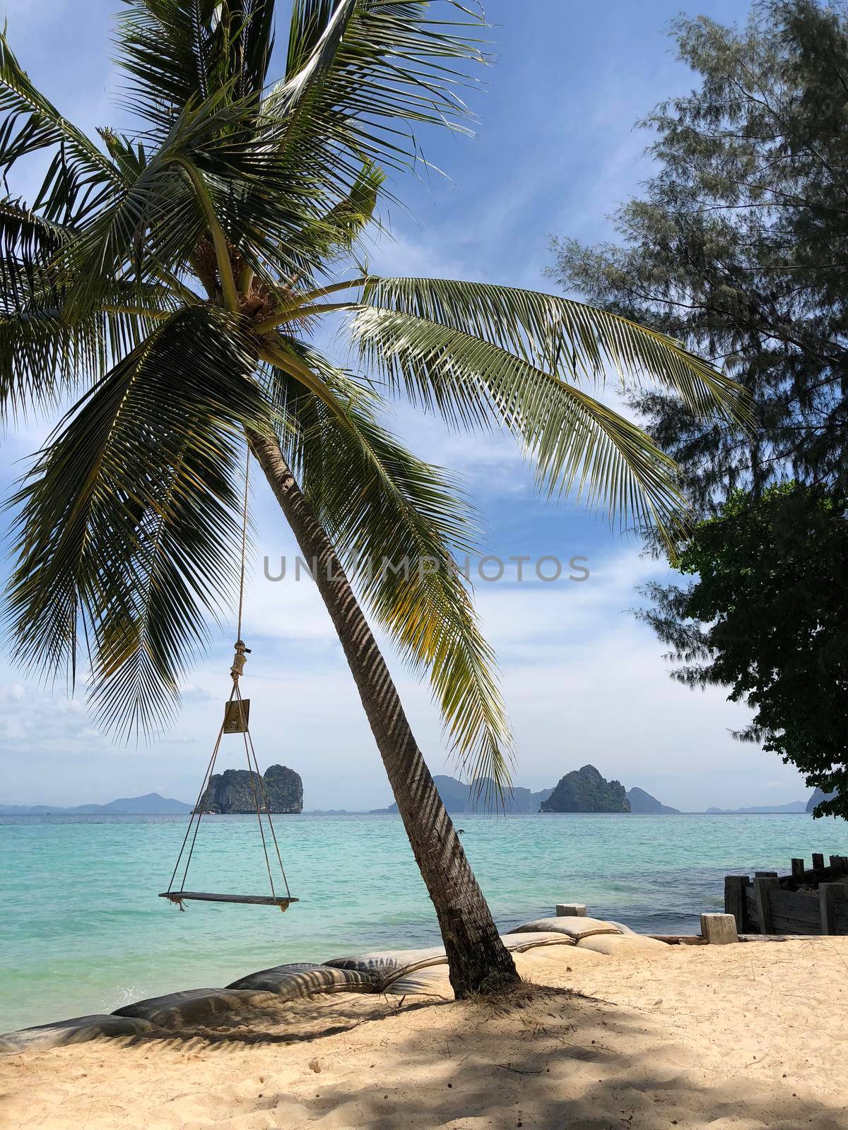 Swing at a palm tree on Koh Ngai in Thailand