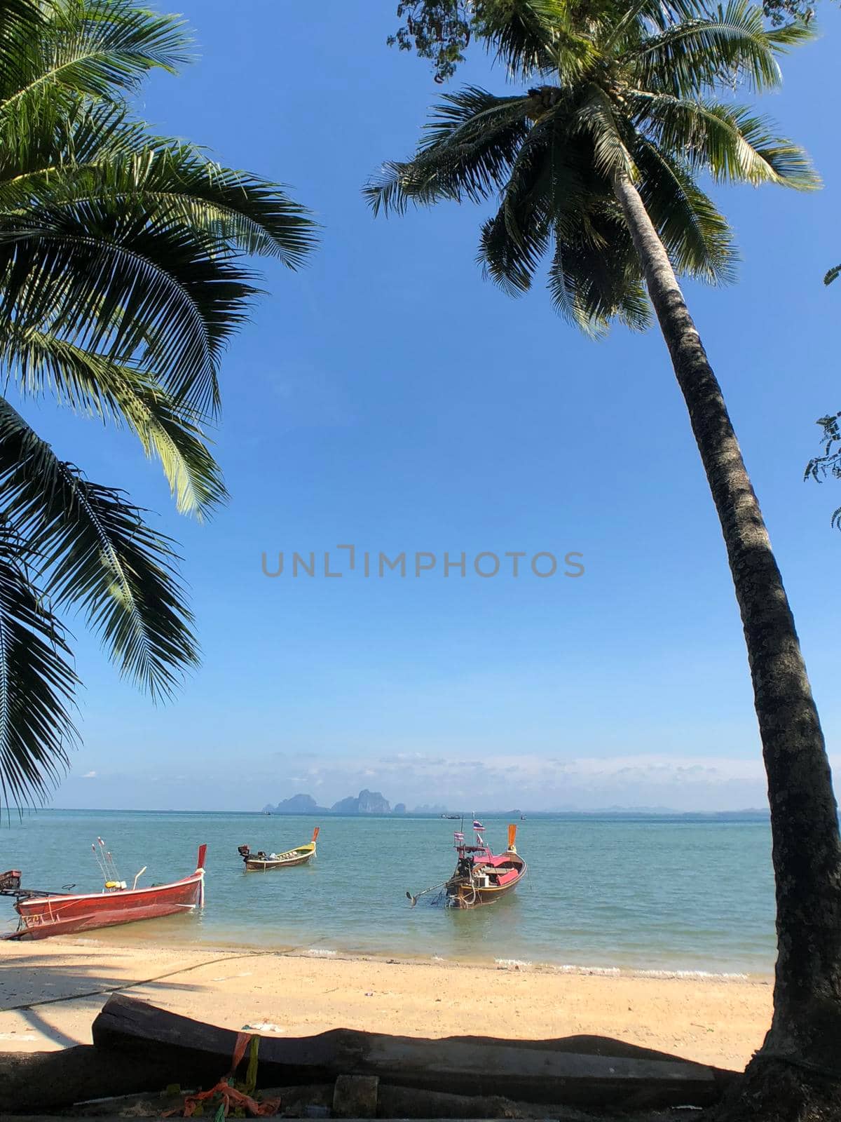 Long-tail boats on Koh Mook island in Thailand