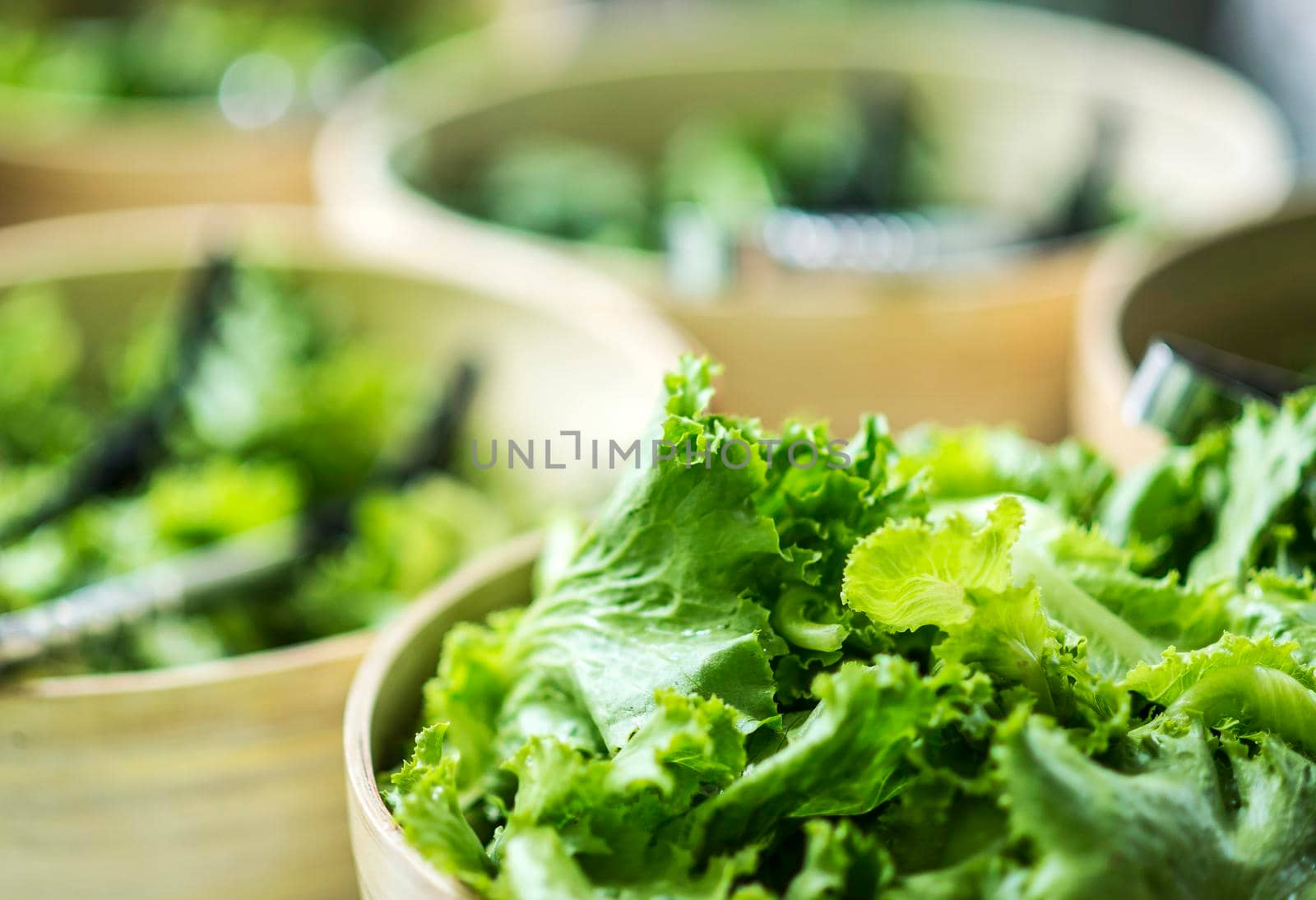 bowls of fresh organic lettuce leaves in salad bar display by jackmalipan