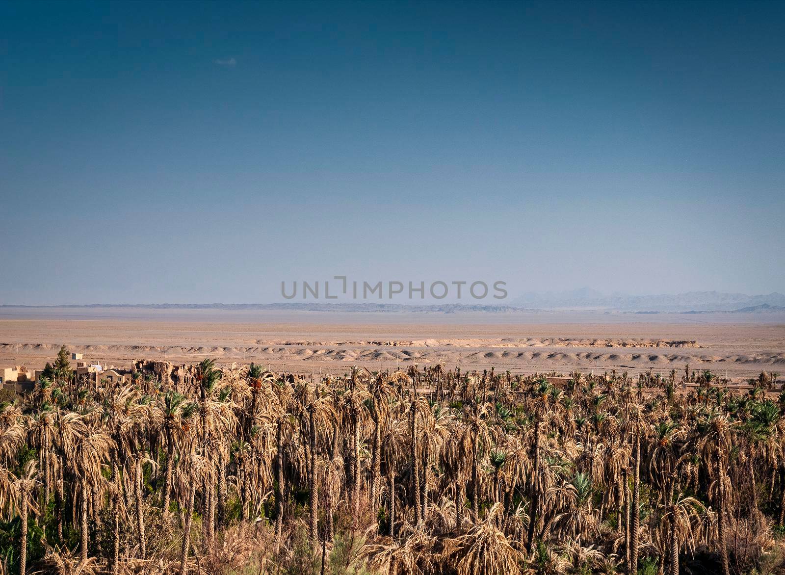 desert landscape view in garmeh oasis near yazd southern iran