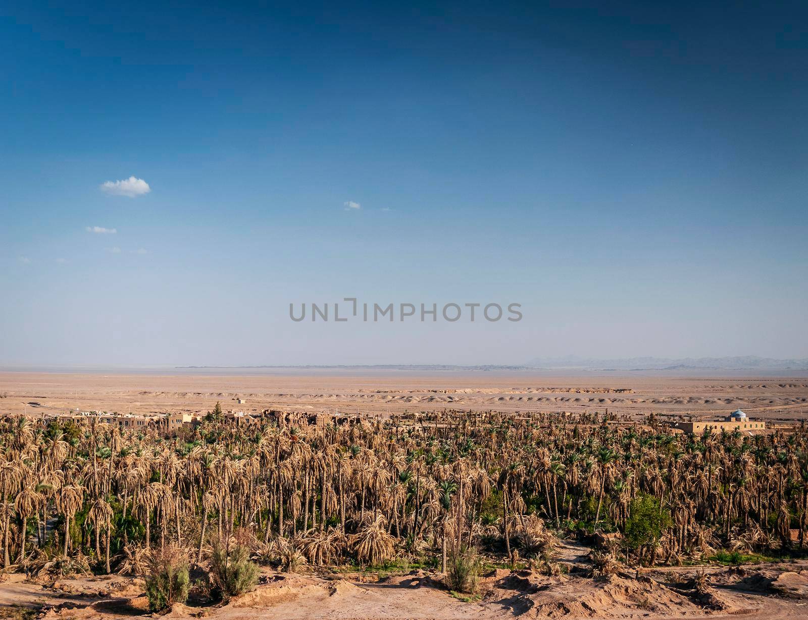 desert landscape view in garmeh oasis near yazd southern iran