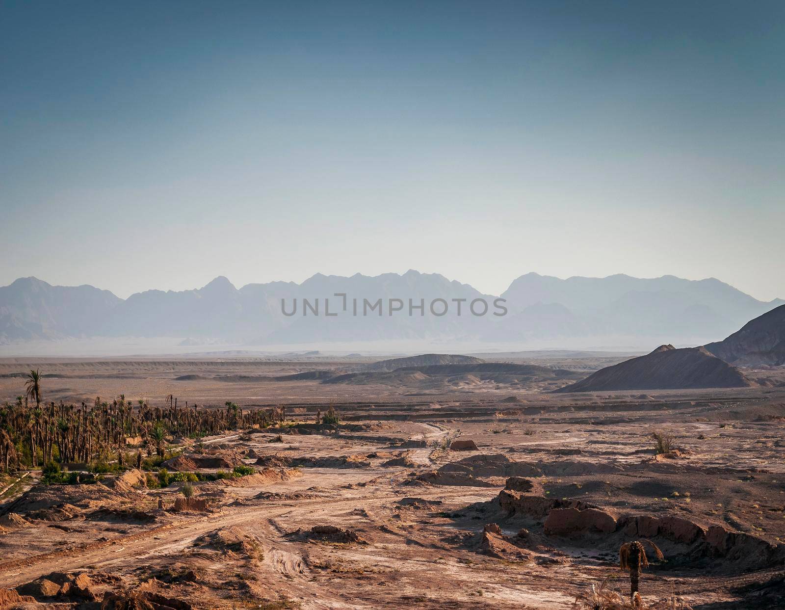 desert landscape view in garmeh oasis near yazd southern iran