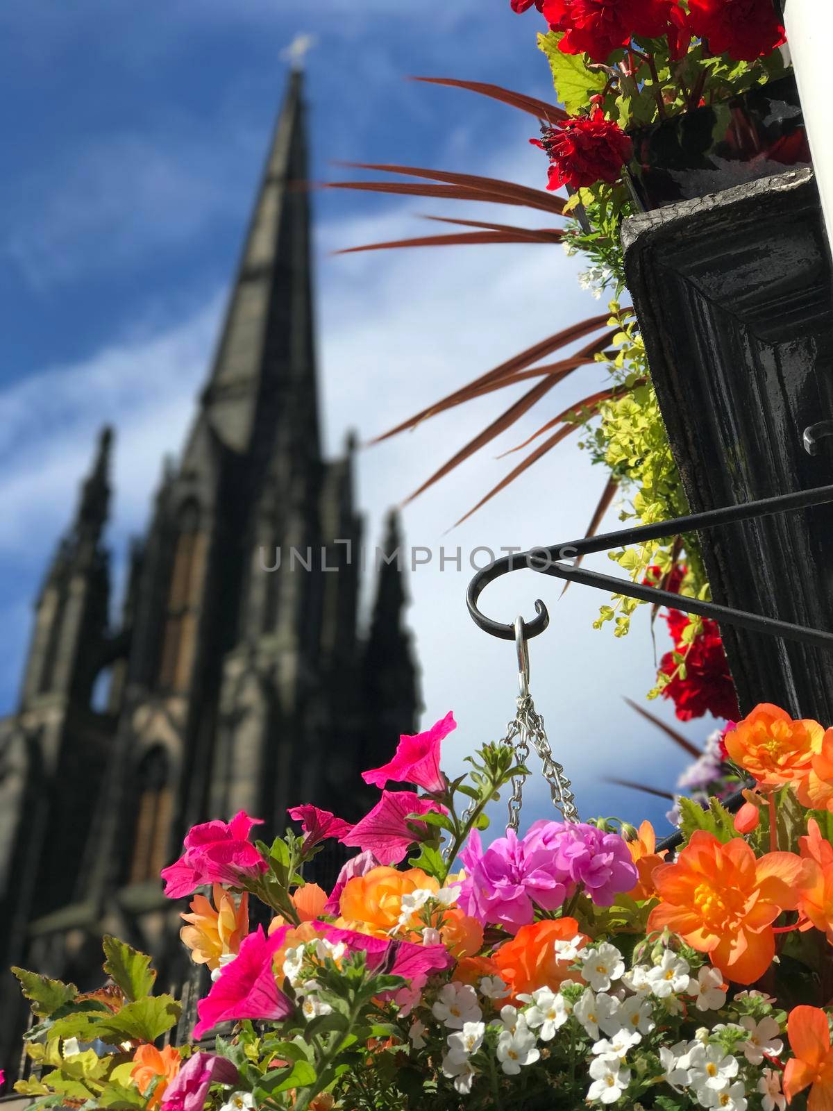 Colorful flowers with the Hub by traveltelly