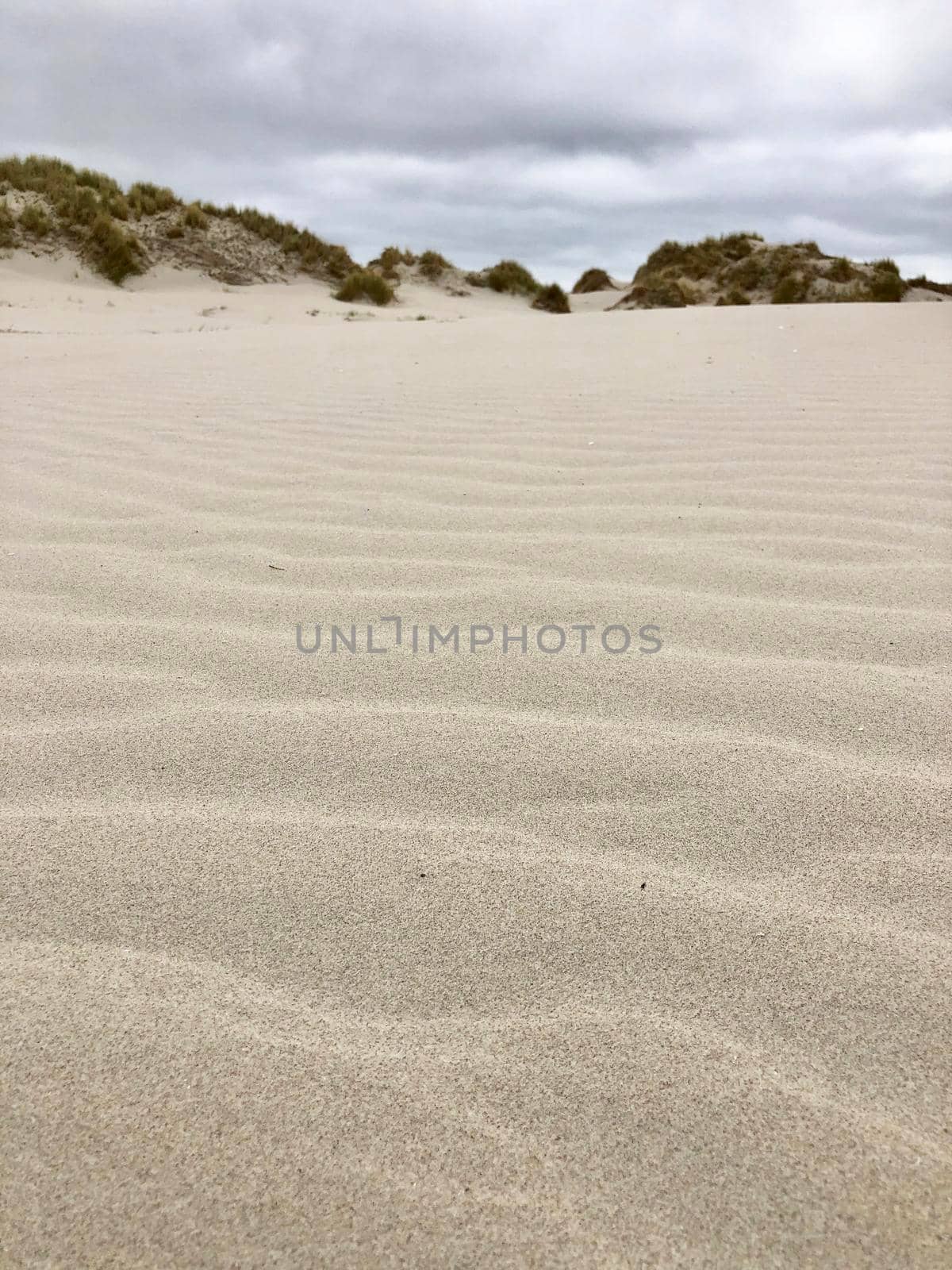 Sand dunes on Terschelling by traveltelly