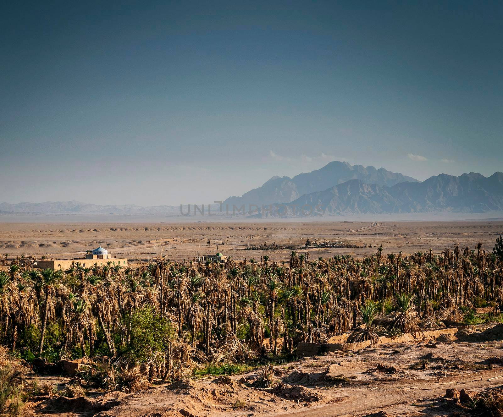 desert landscape view in garmeh oasis near yazd southern iran