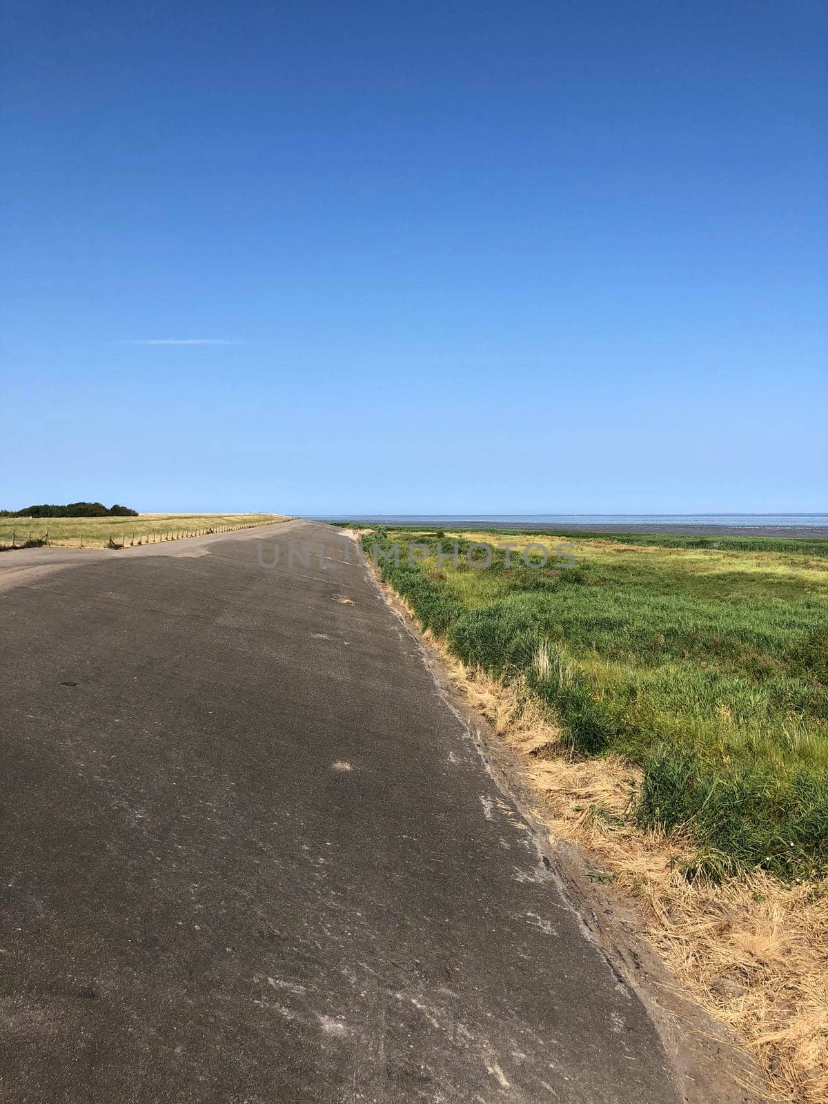 Dike next to the wadden sea around Zwarte Haan in Friesland The Netherlands