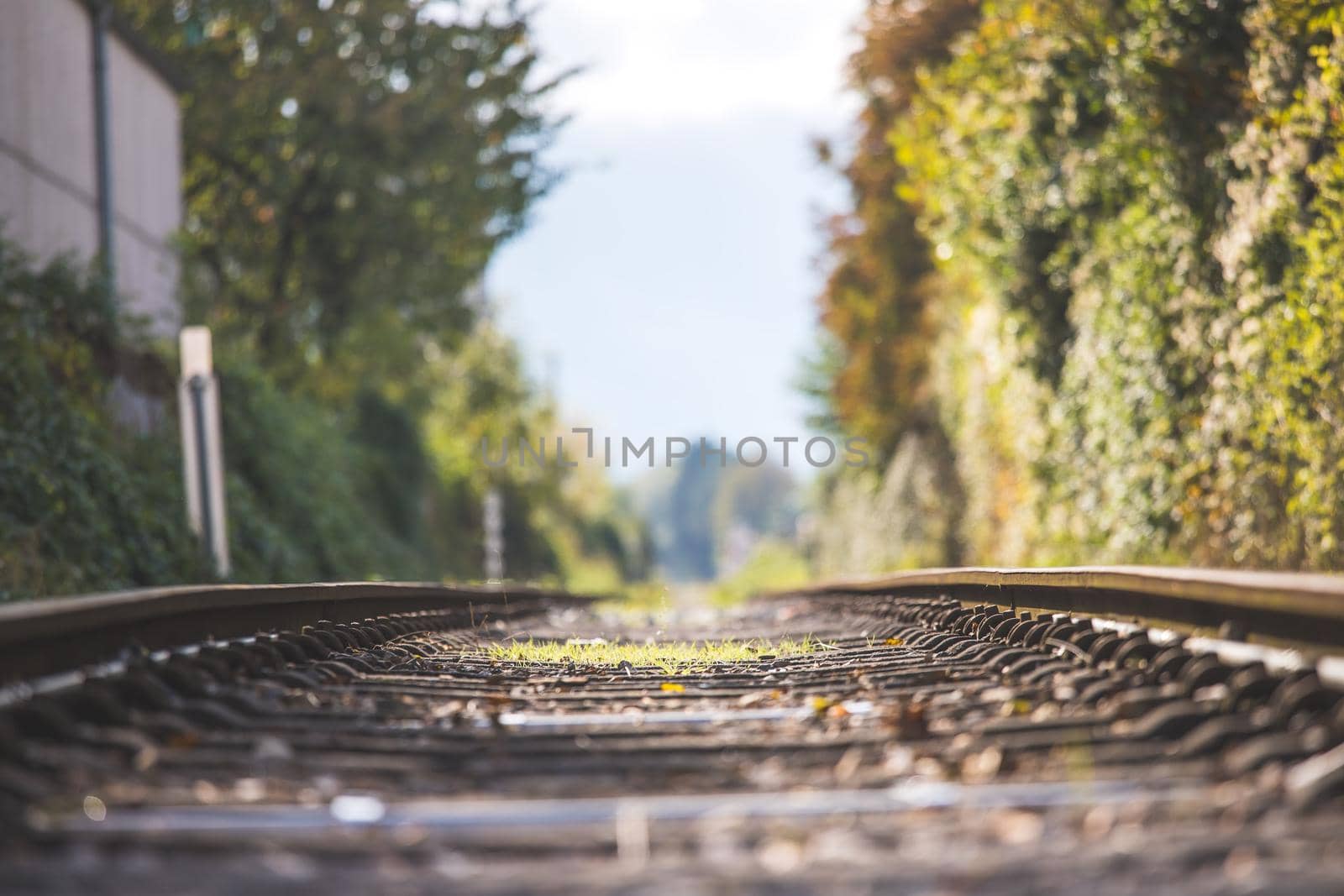 Landscape of an old abandoned railway in fall. Warm light, sustainable traveling
