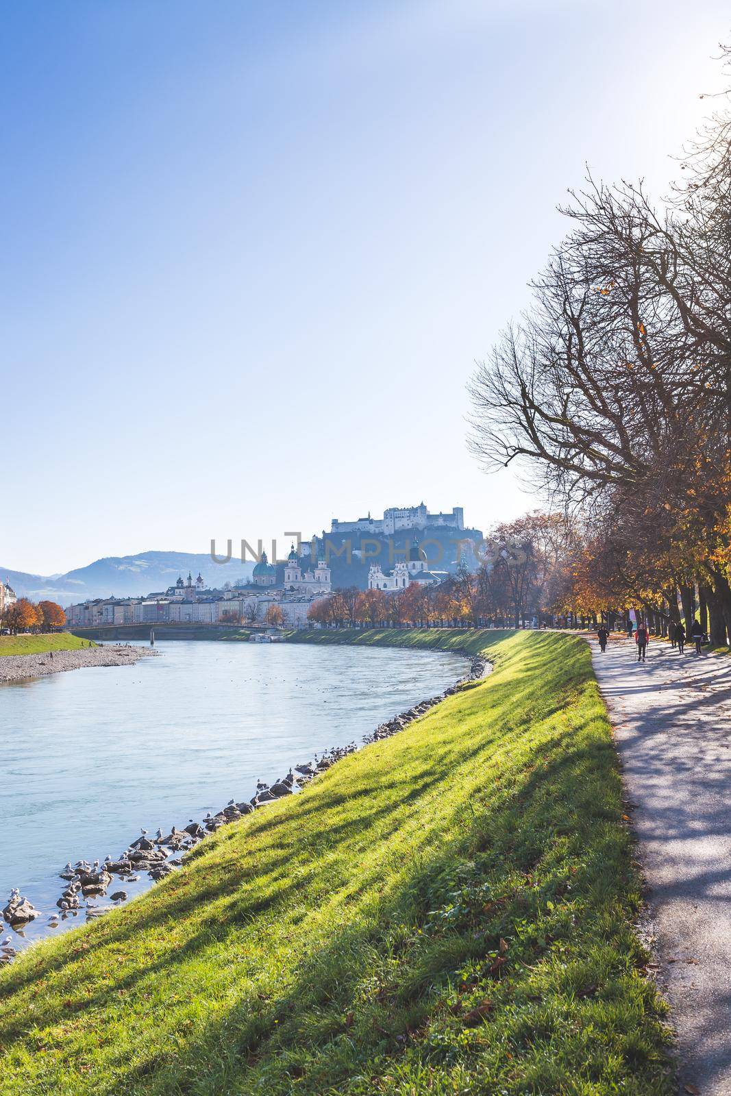 Salzburg historic district and the river salzach in autumn time, colorful leaves and colors with sunshine, Austria