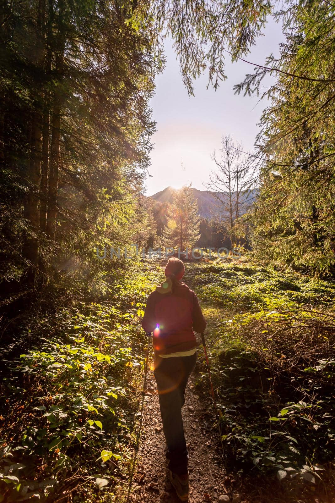 Girl in sportswear hiking in autumnal forest, warm colors