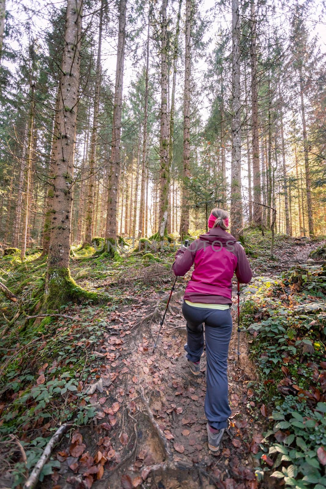 Hiking in the forest, autumn time. Girl in sportswear, sunbeams and warm color by Daxenbichler