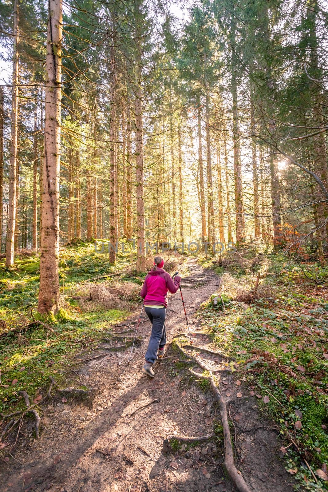 Hiking in the forest, autumn time. Girl in sportswear, sunbeams and warm color by Daxenbichler