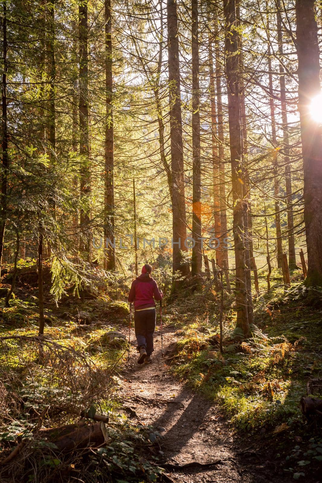 Hiking in the forest, autumn time. Girl in sportswear, sunbeams and warm color by Daxenbichler