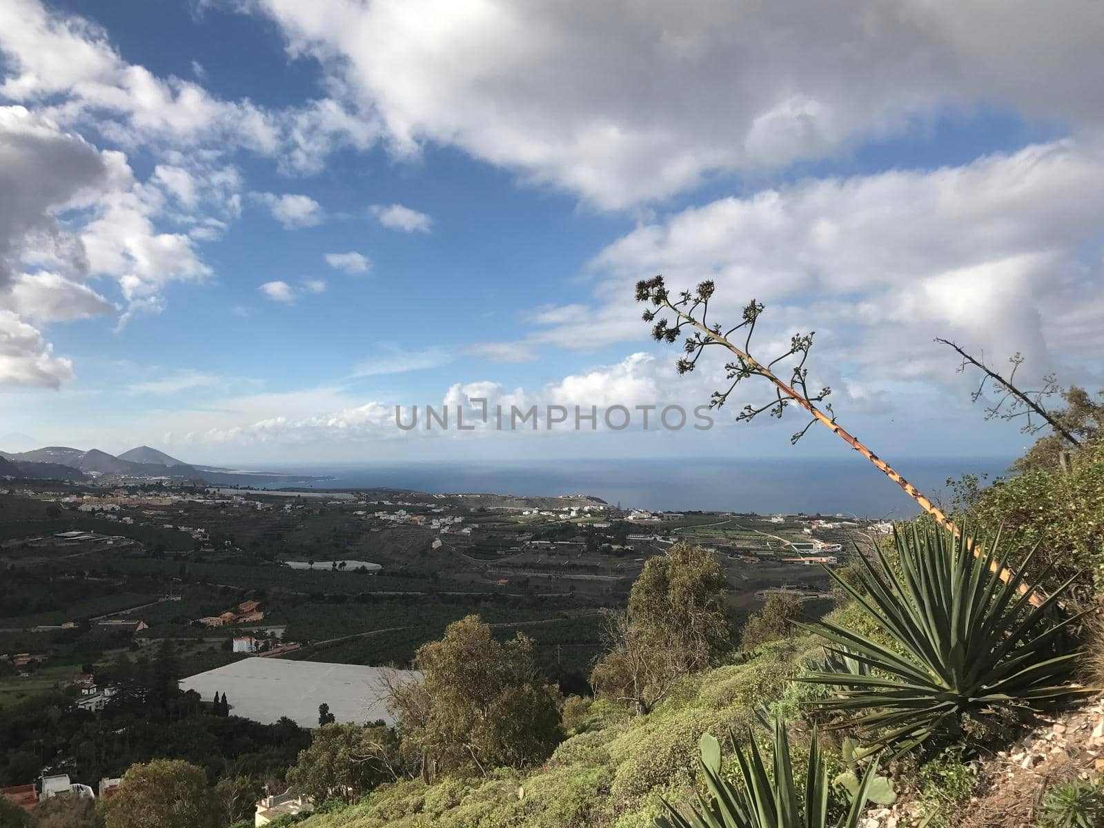 View from mount Arucas in Gran Canaria