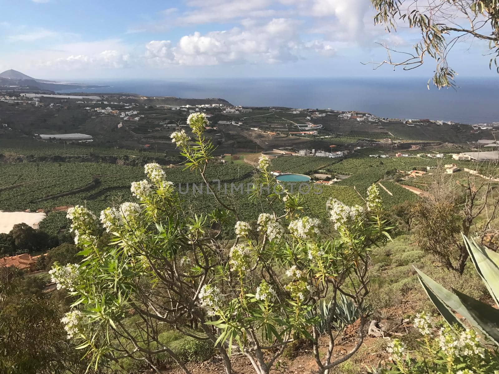 View from mount Arucas  by traveltelly