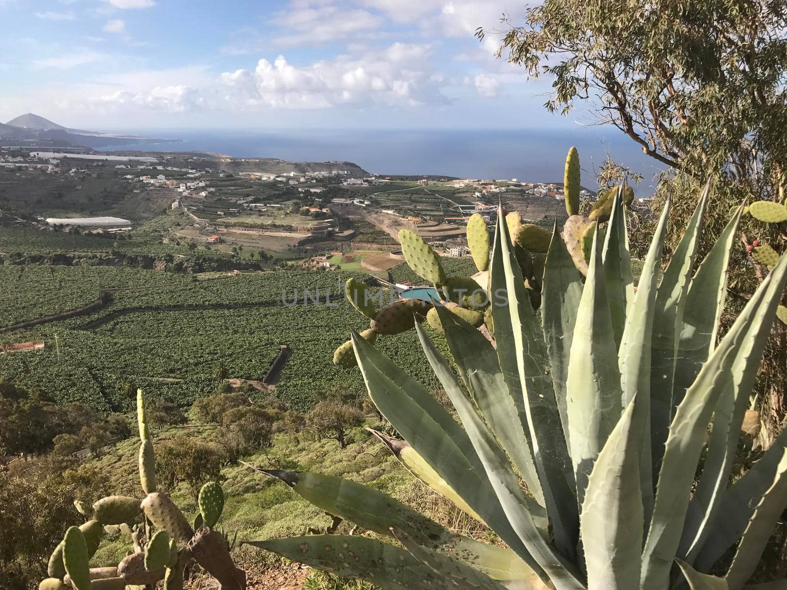 View from mount Arucas in Gran Canaria