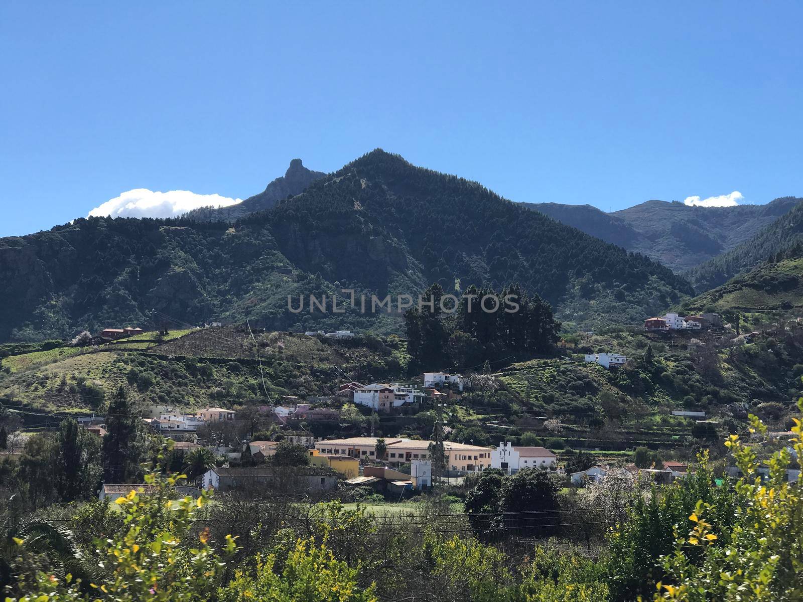 Mountain landscape in Gran Canaria