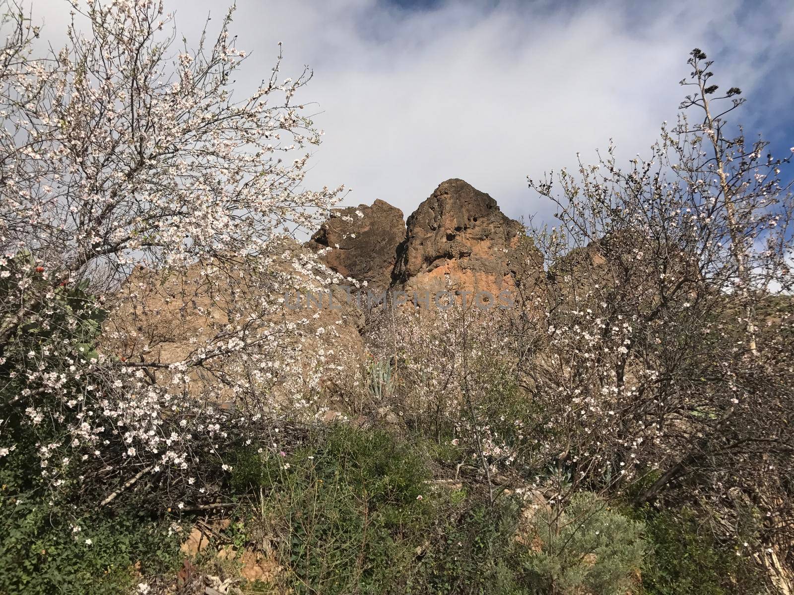 Peak from a mountain range at Riscos de Tirajana in Gran Canaria