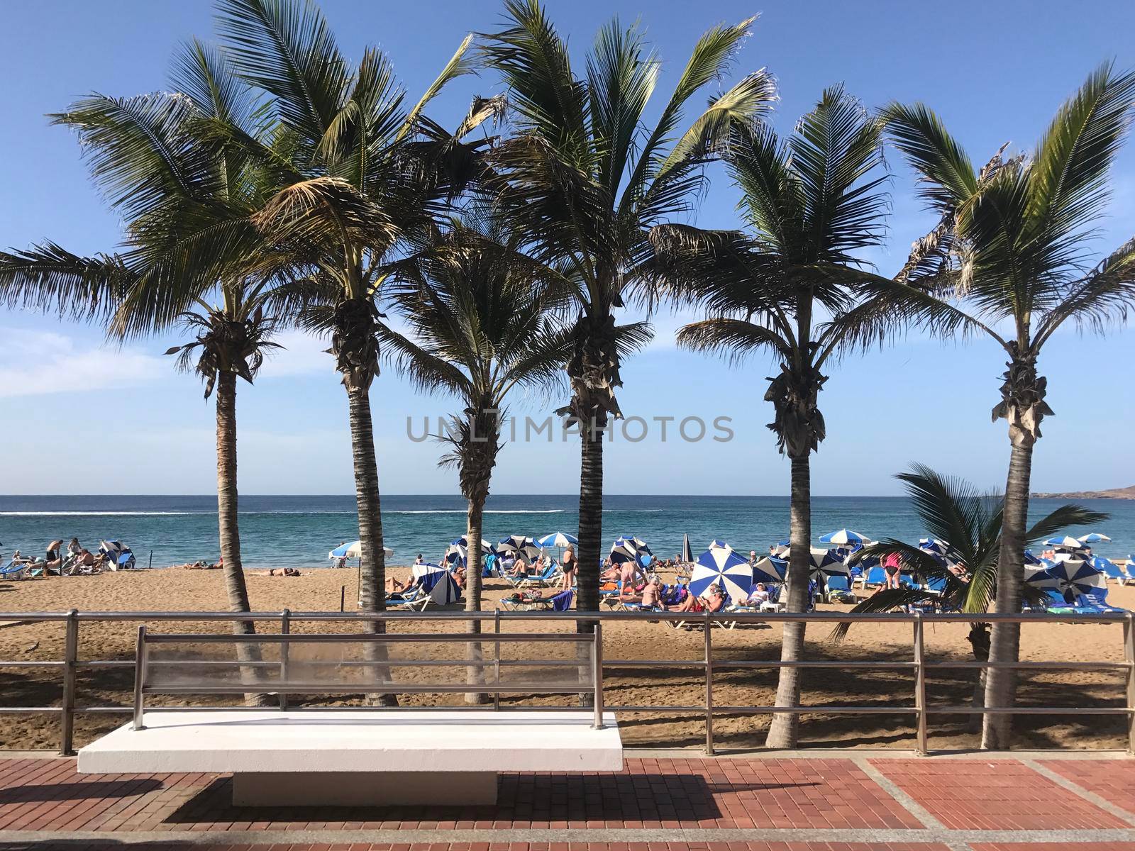 Bench at the boulevard of Playa de Las Canteras in Las Palmas Gran Canaria