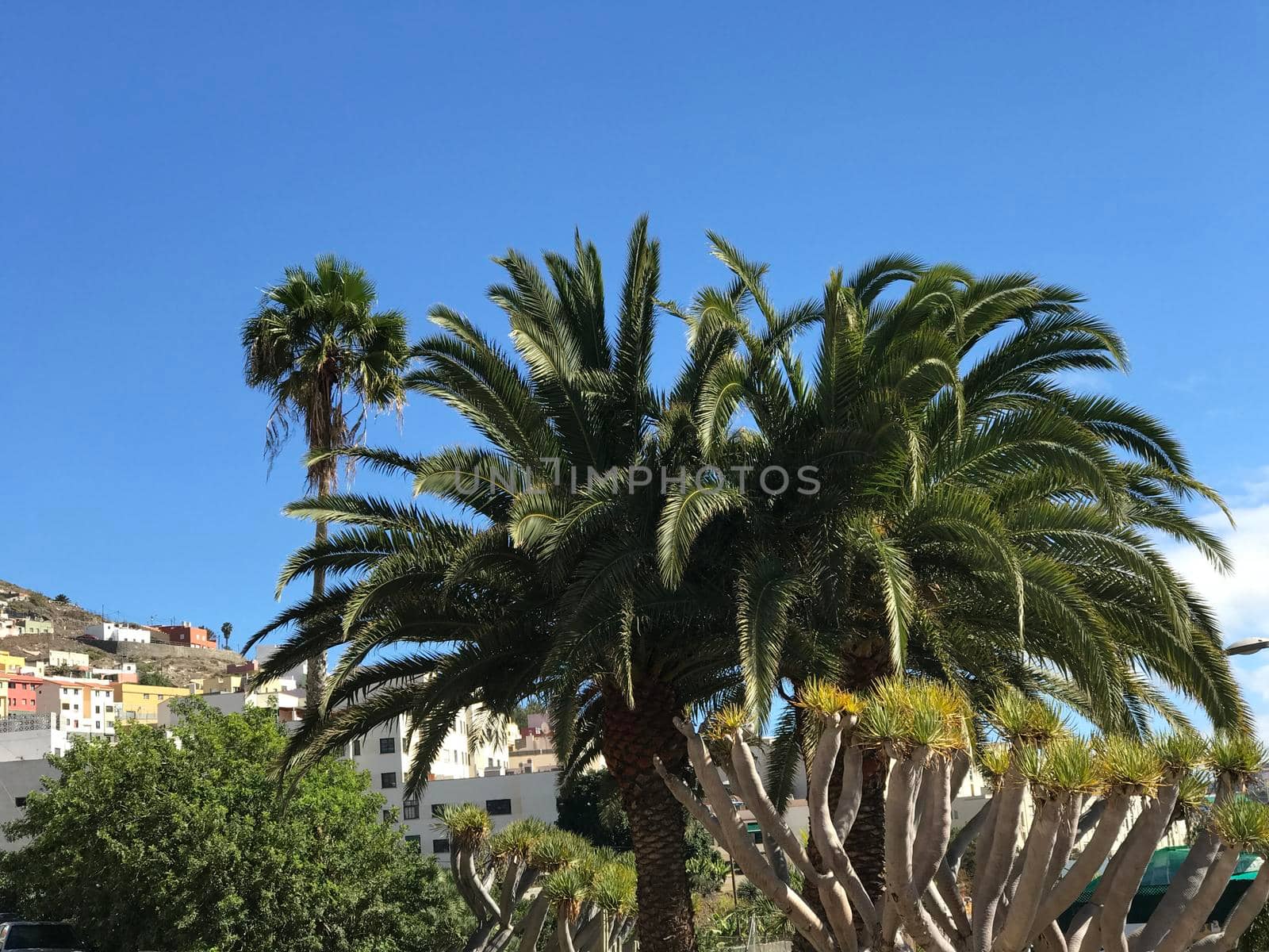 Houses in Galdar Gran Canaria Canary Islands Spain