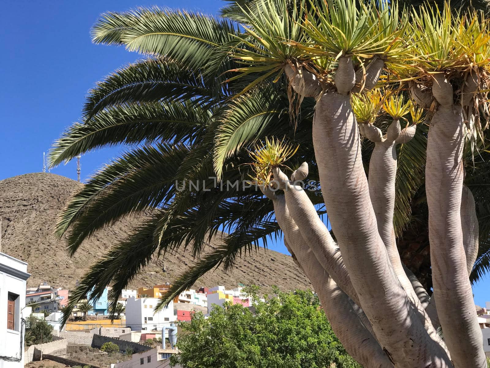 Houses in Galdar Gran Canaria Canary Islands Spain