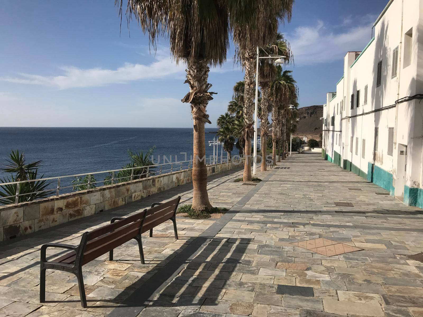 Bench and palmtrees at the boulevard towards Confital in Las Palmas Gran Canaria