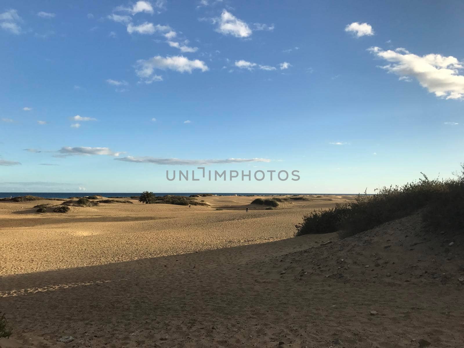 Sand dunes in Maspalomas Gran Canaria