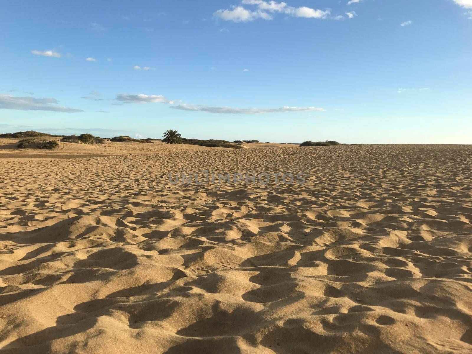 Sand dunes in Maspalomas  by traveltelly