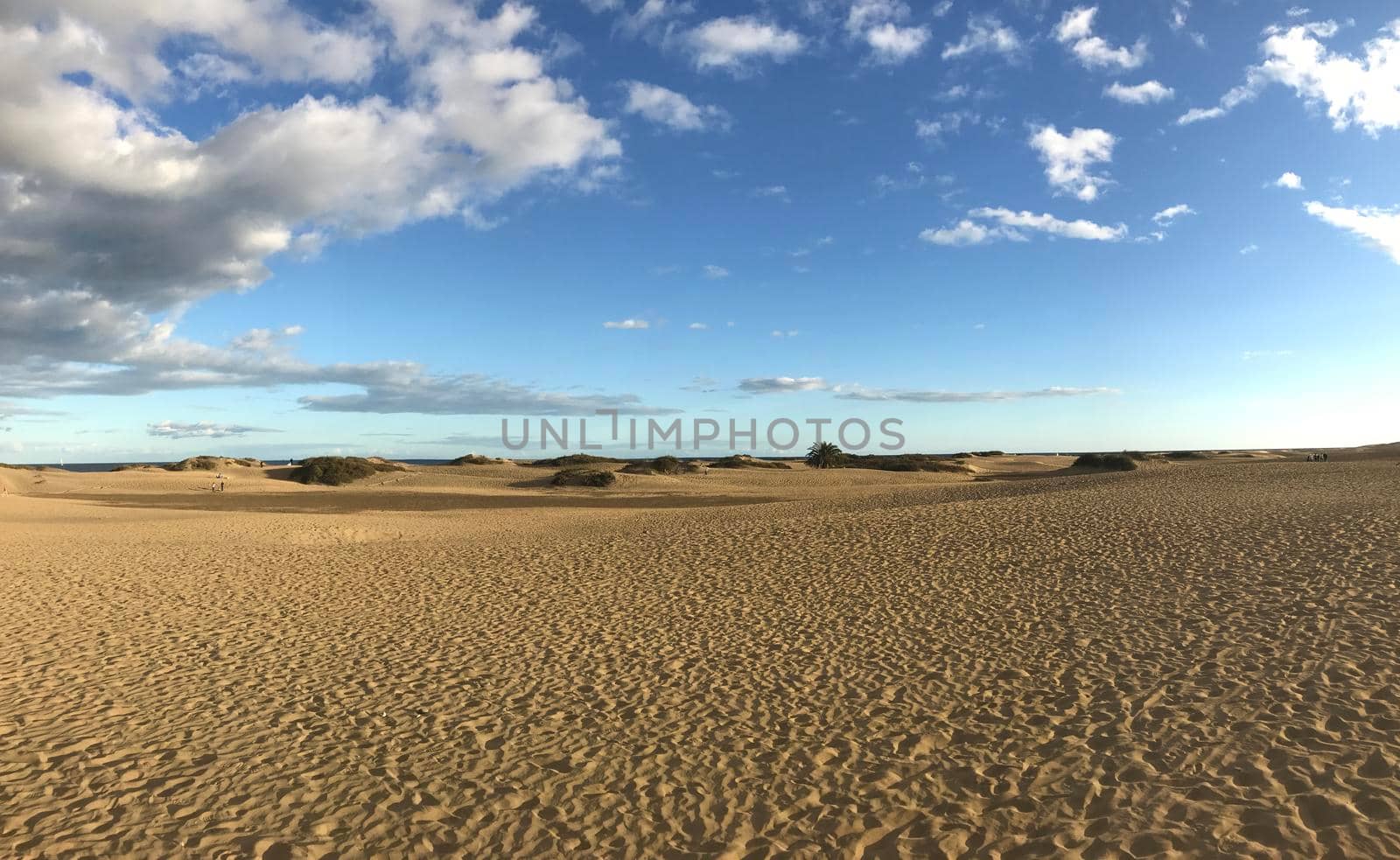 Sand dunes in Maspalomas  by traveltelly