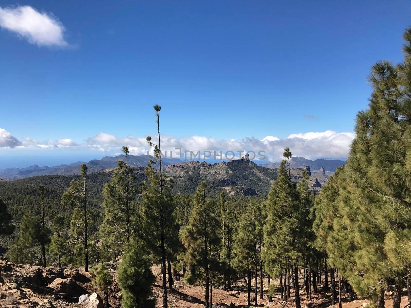 View from Pico de las Nieves the highest peak of the island of Gran Canaria