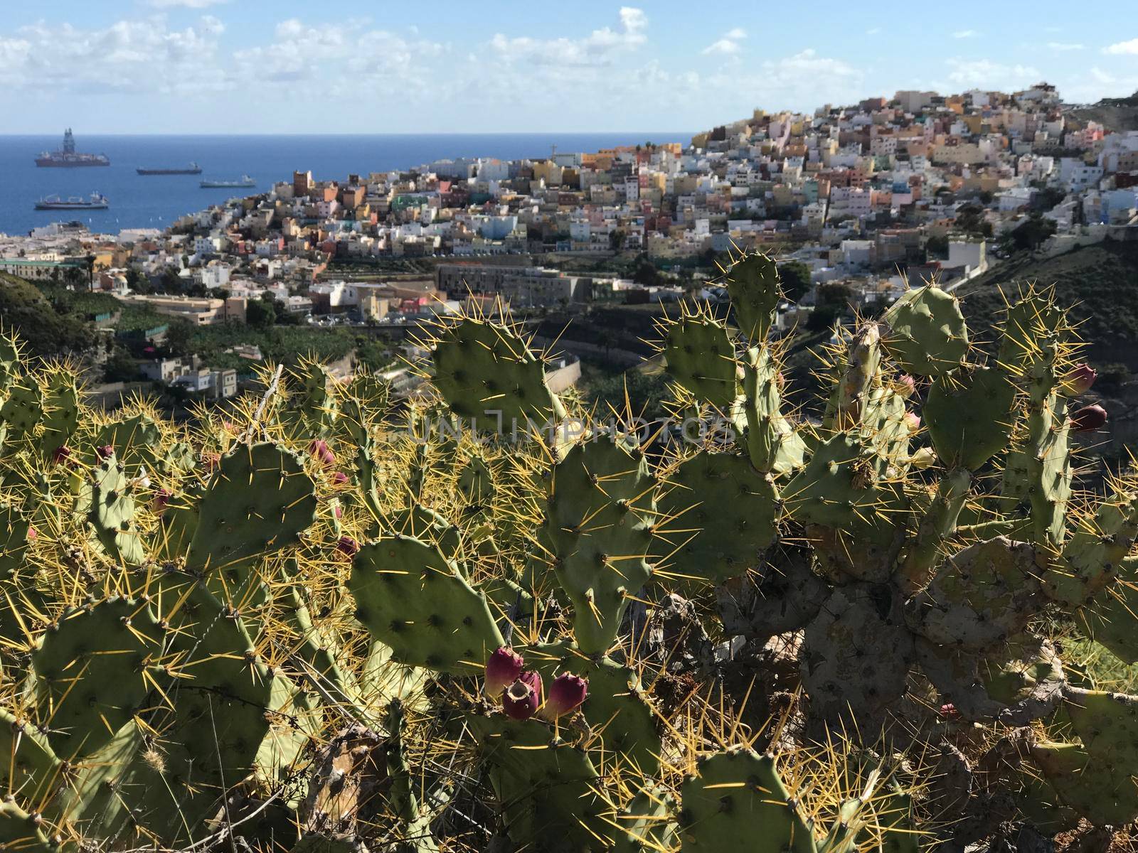 Looking over Las Palmas old town  by traveltelly