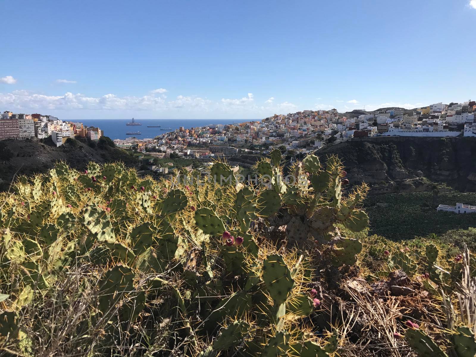 Looking over Las Palmas old town Gran Canaria