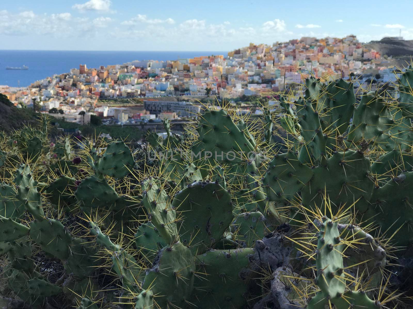 Looking over Las Palmas old town Gran Canaria