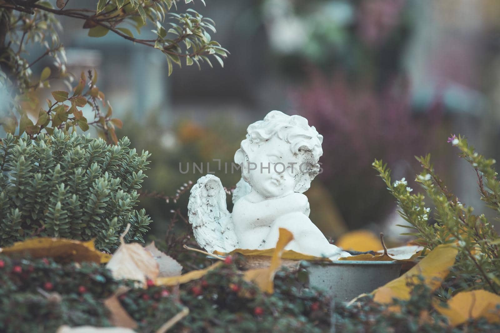 White angel on a grave at a cemetery, flowers