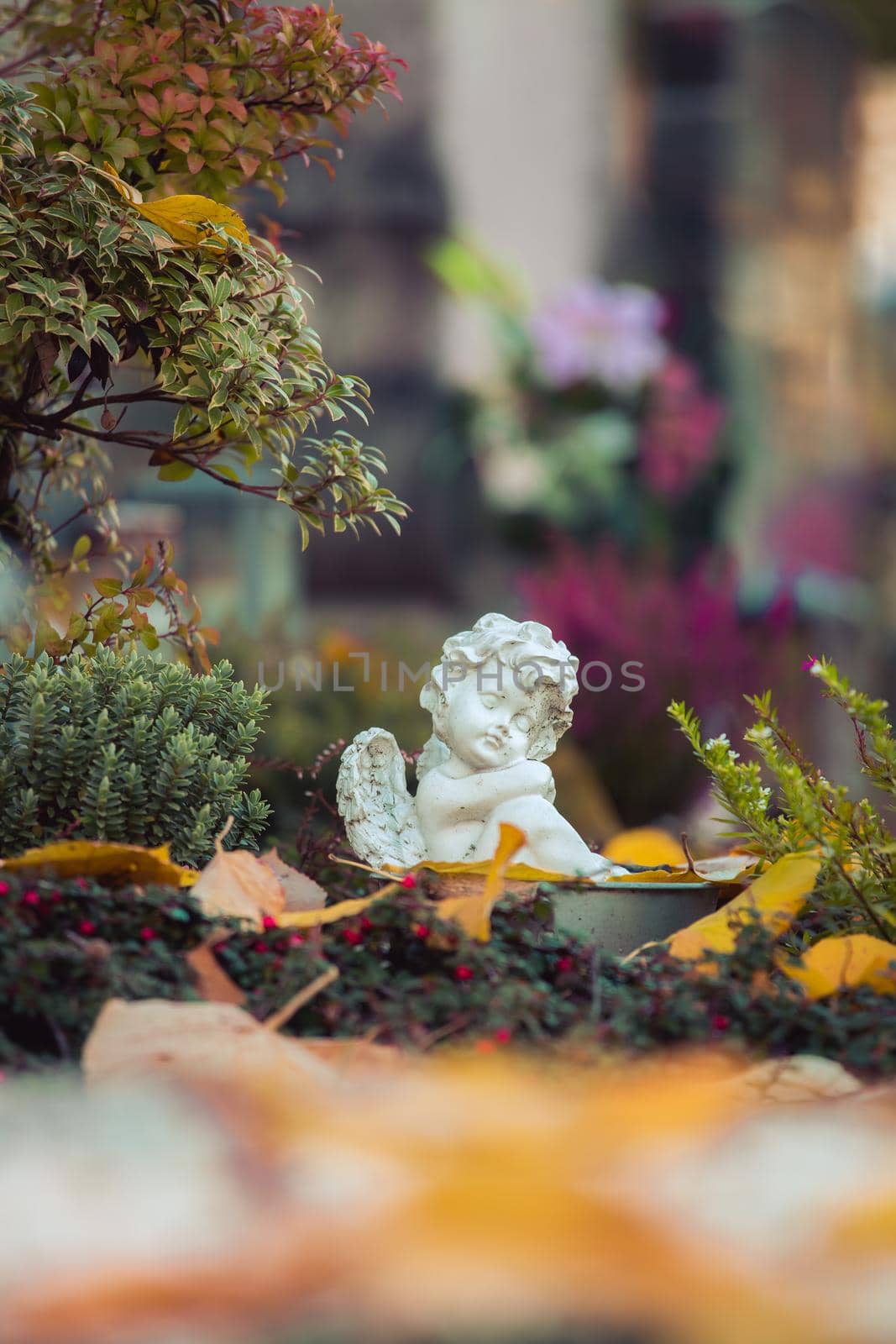 White angel on a grave at a cemetery, flowers