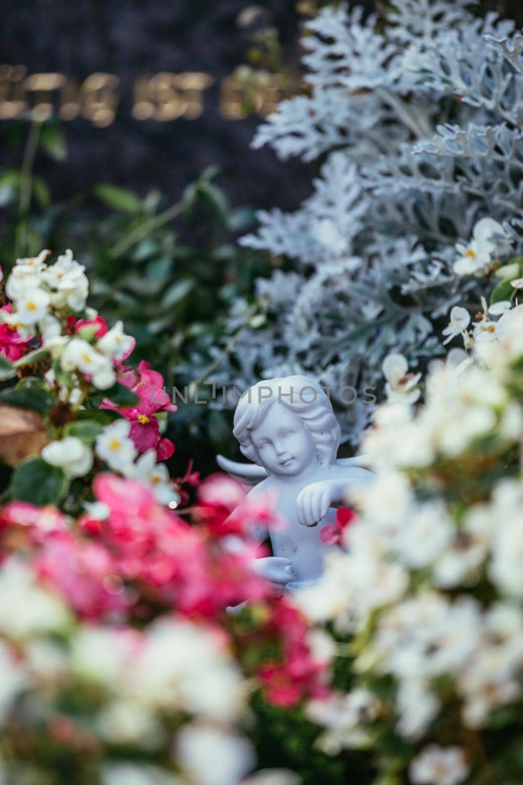 White angel on a grave at a cemetery, flowers