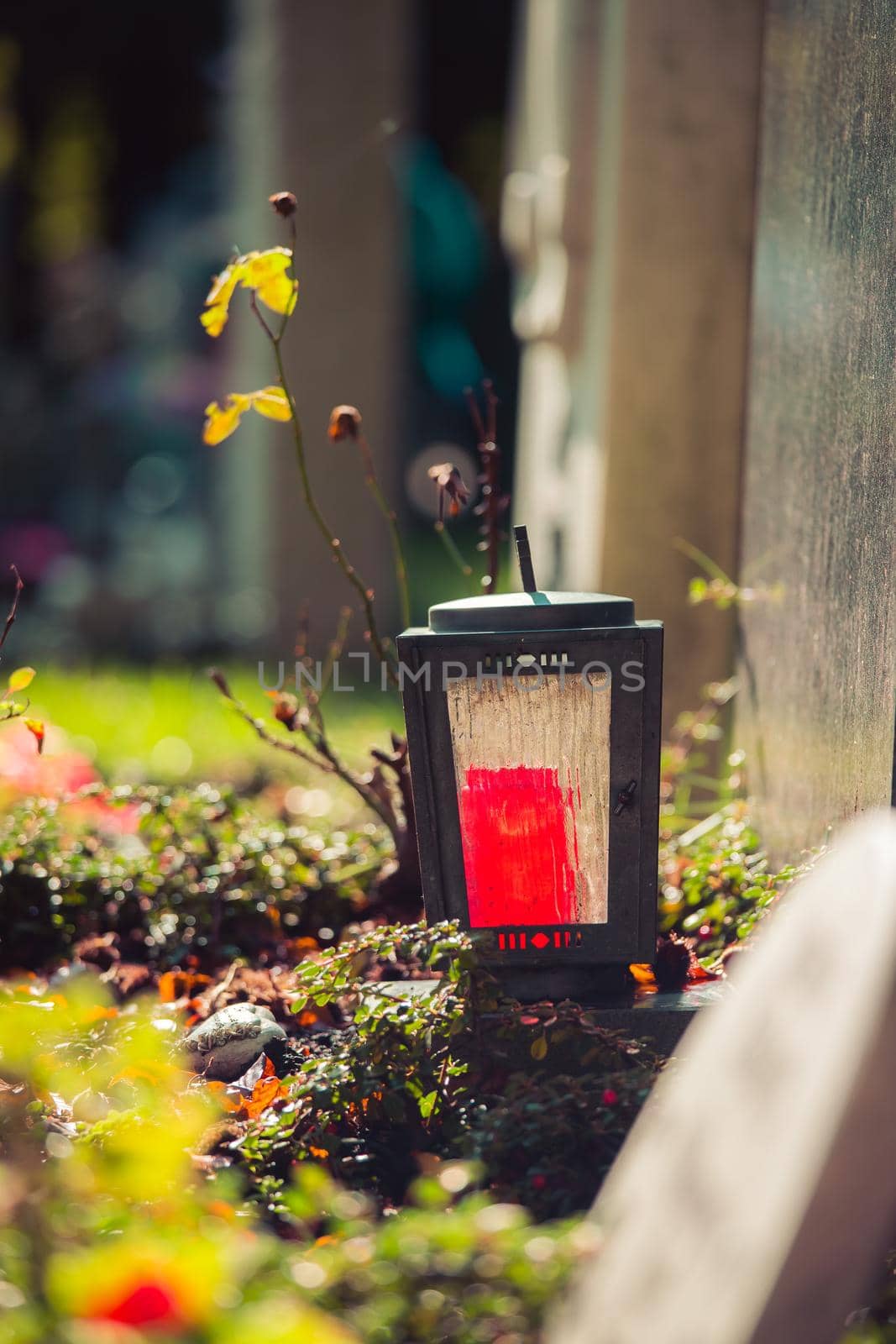 Sorrow concept. Red candle in iron lantern at the cemetery, funeral by Daxenbichler
