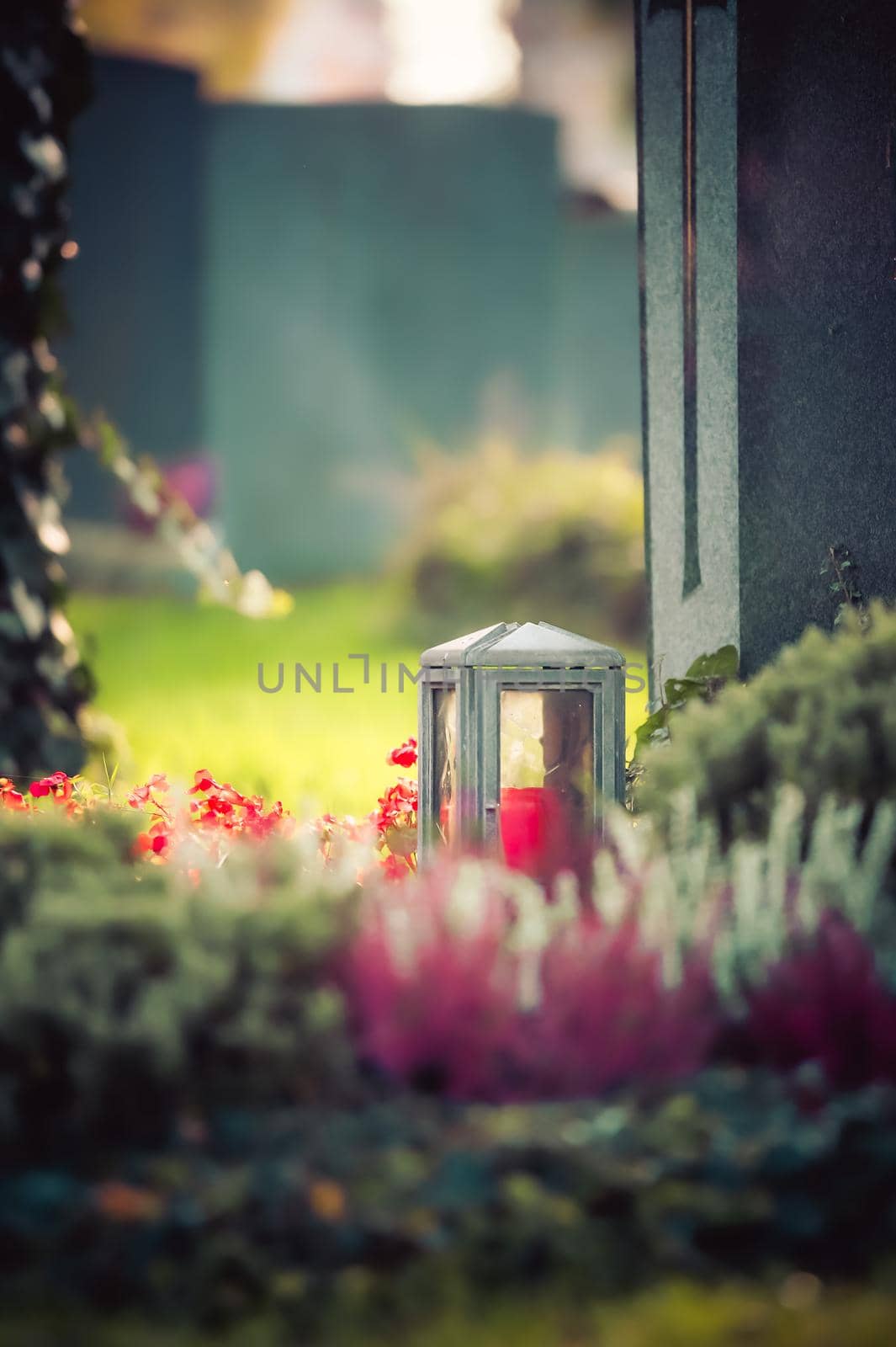 Sorrow concept. Red candle in iron lantern at the cemetery, funeral by Daxenbichler