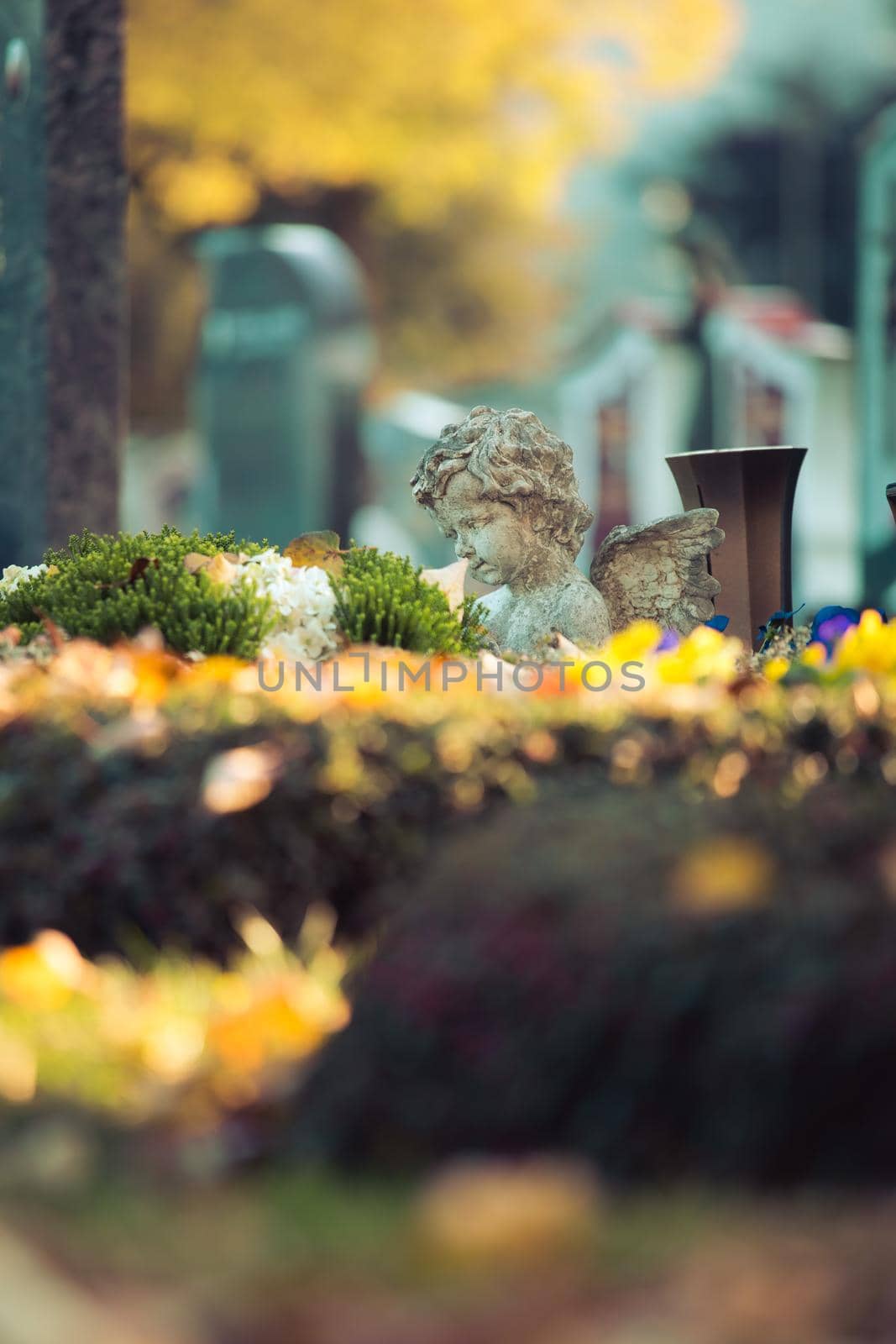 Remembrance concept: White angel on a grave, flowers by Daxenbichler