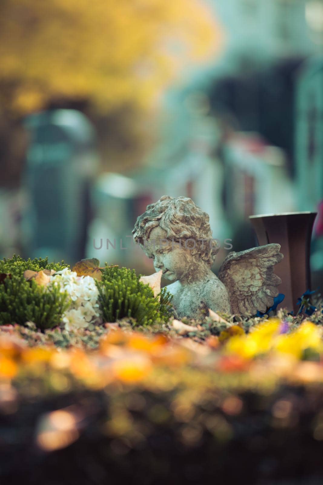 Remembrance concept: White angel on a grave, flowers by Daxenbichler