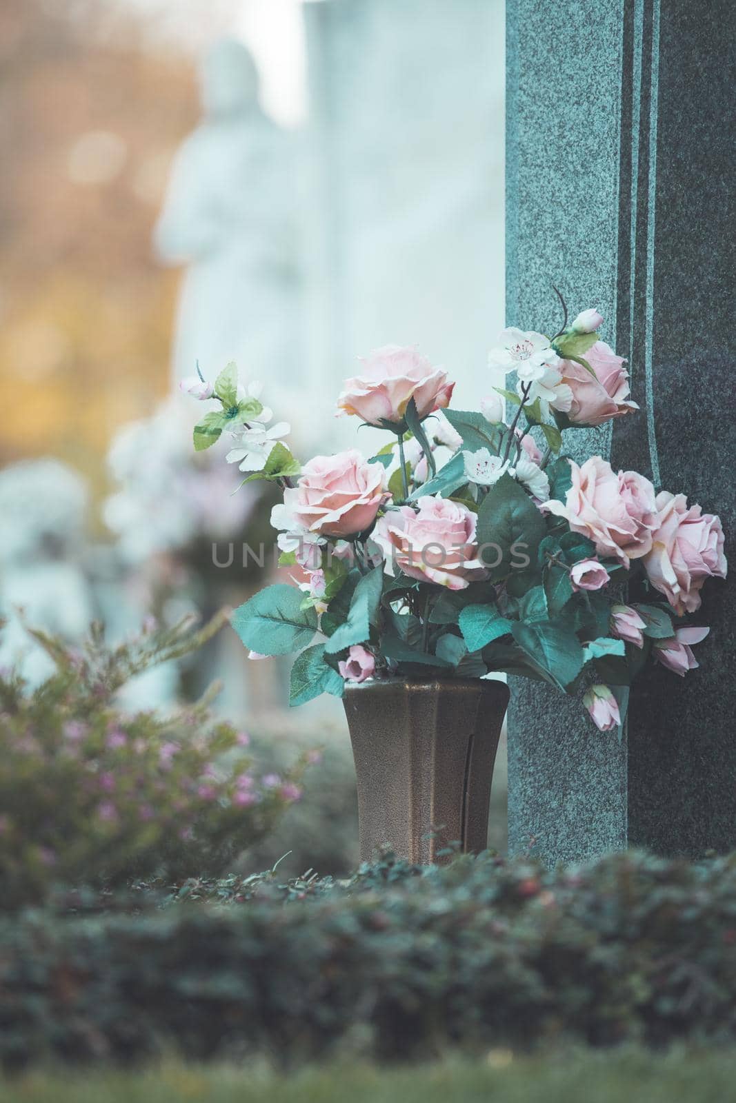 Remembrance concept: Bouquet of roses on a grave by Daxenbichler