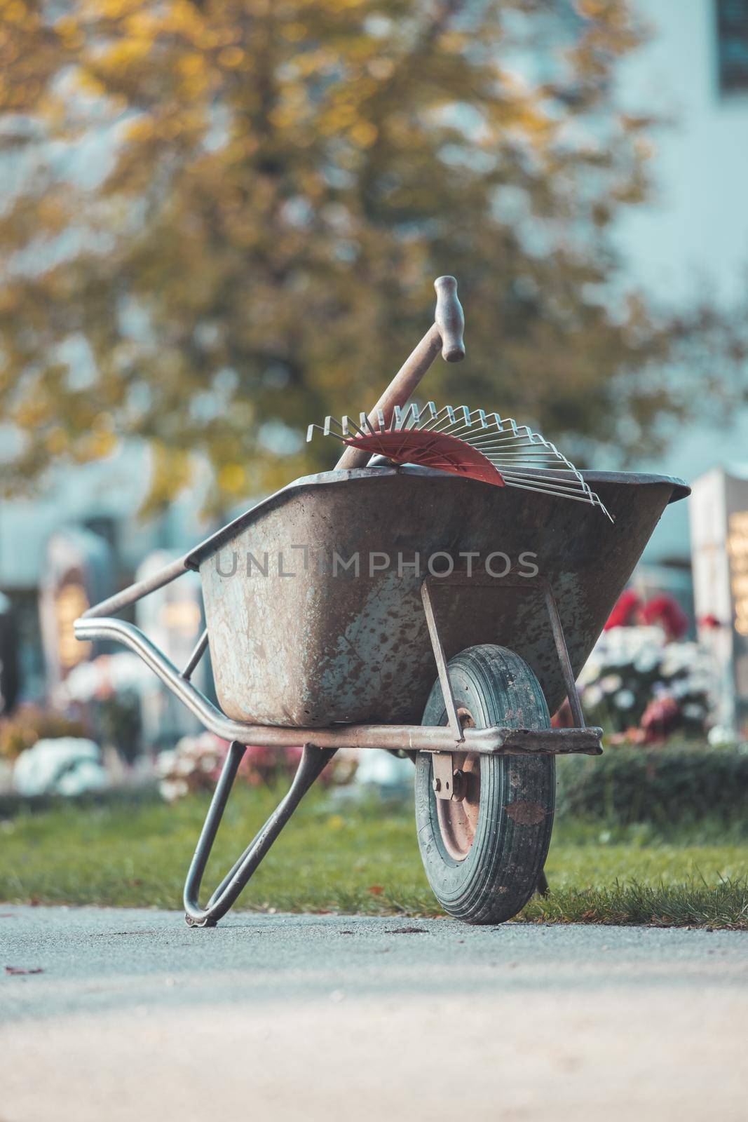 Close up of grey wheelbarrow in a park, gardening