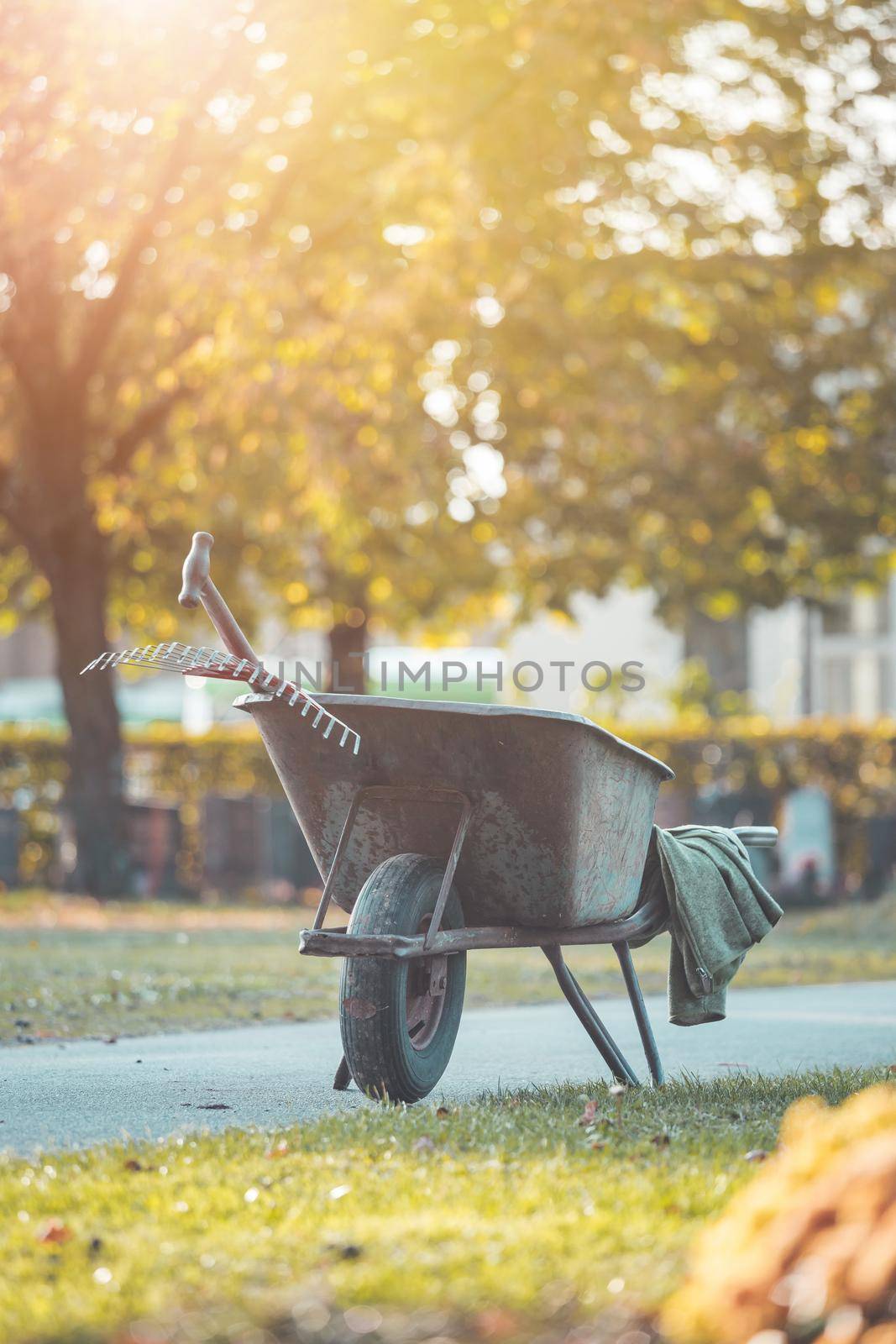 Close up of grey wheelbarrow in a park, gardening