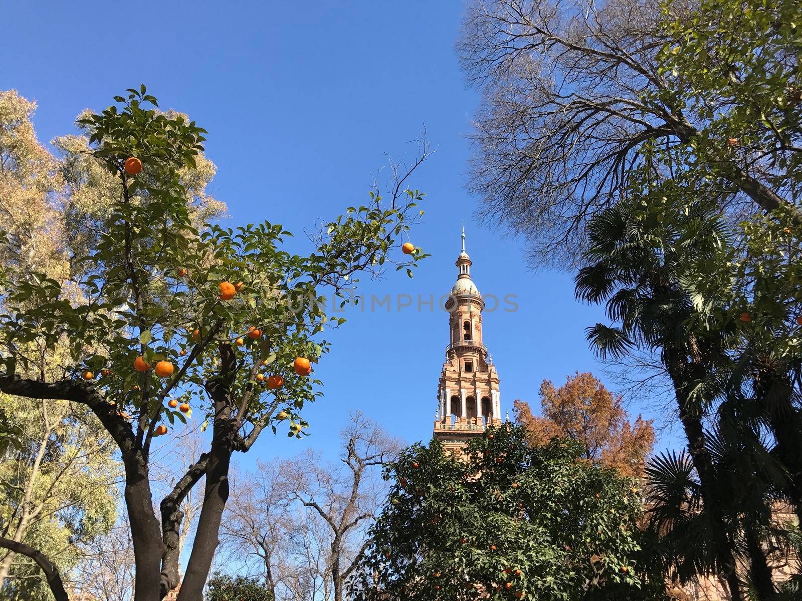 Plaza de Espana in Seville Spain