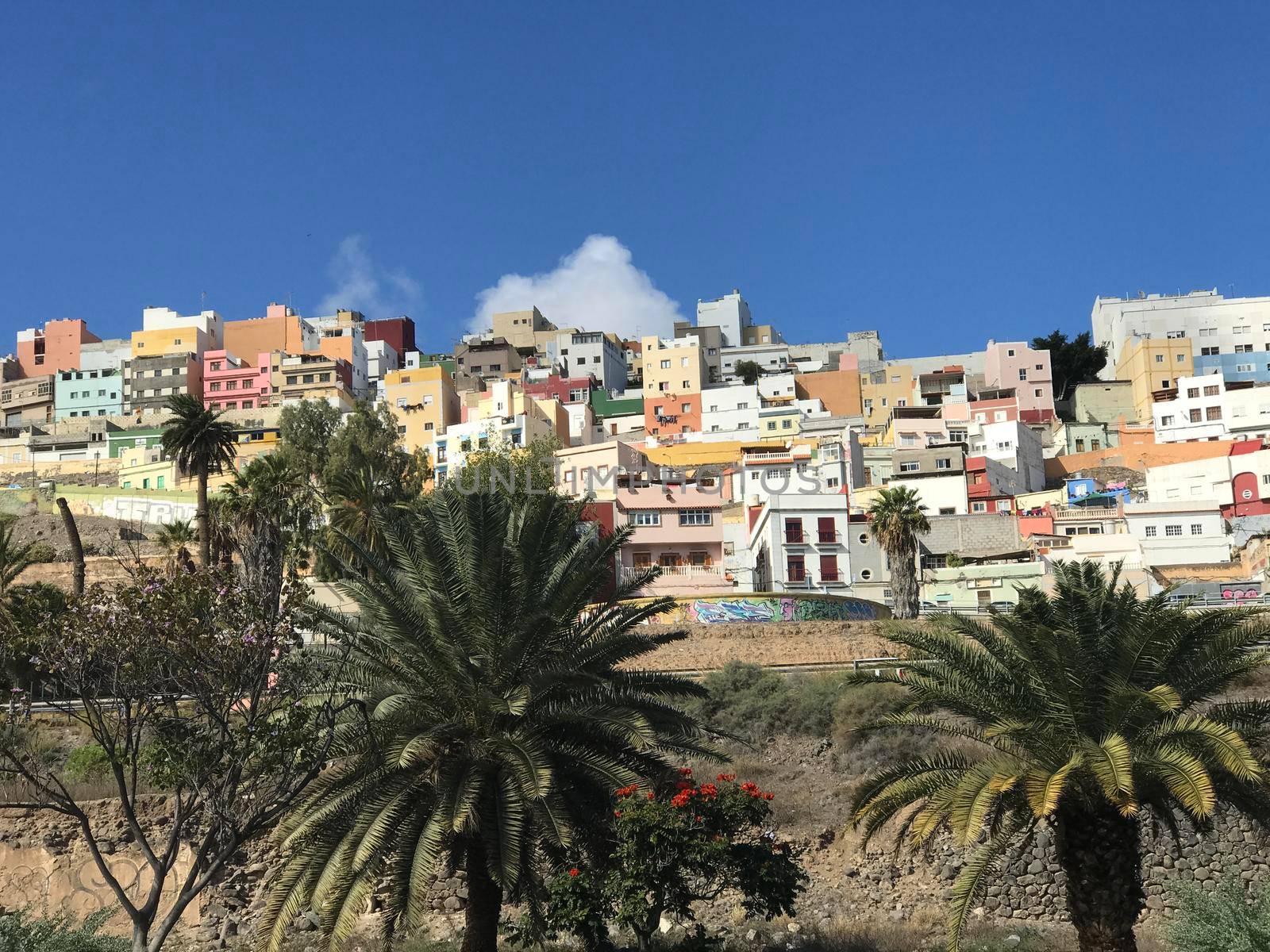 Colourful houses in Las Palmas  by traveltelly