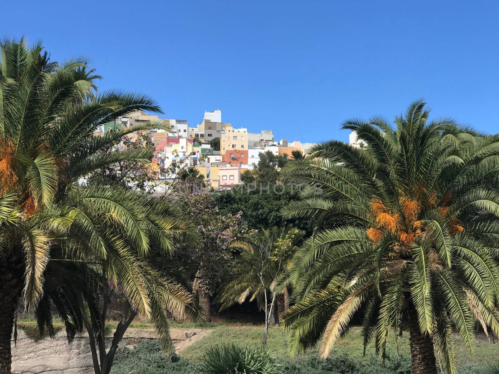 Colourful houses on the hill in Las Palmas Gran Canaria Canary Islands Spain