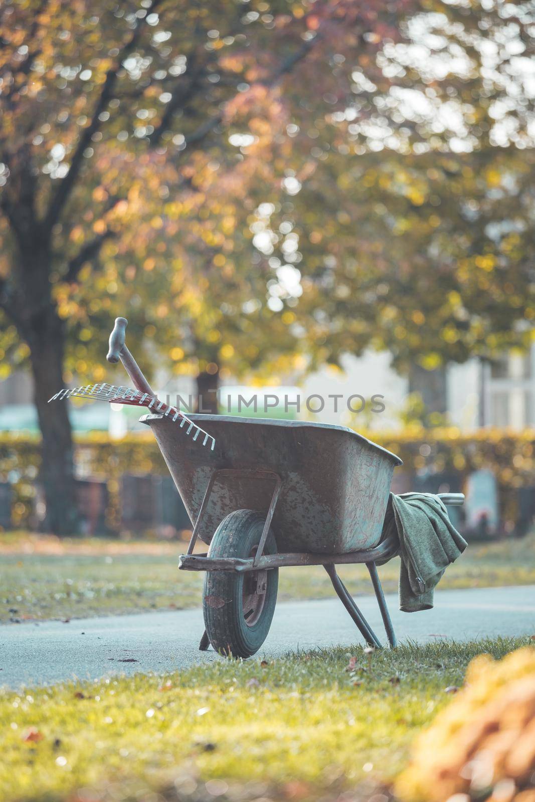 Close up of grey wheelbarrow in a park, gardening