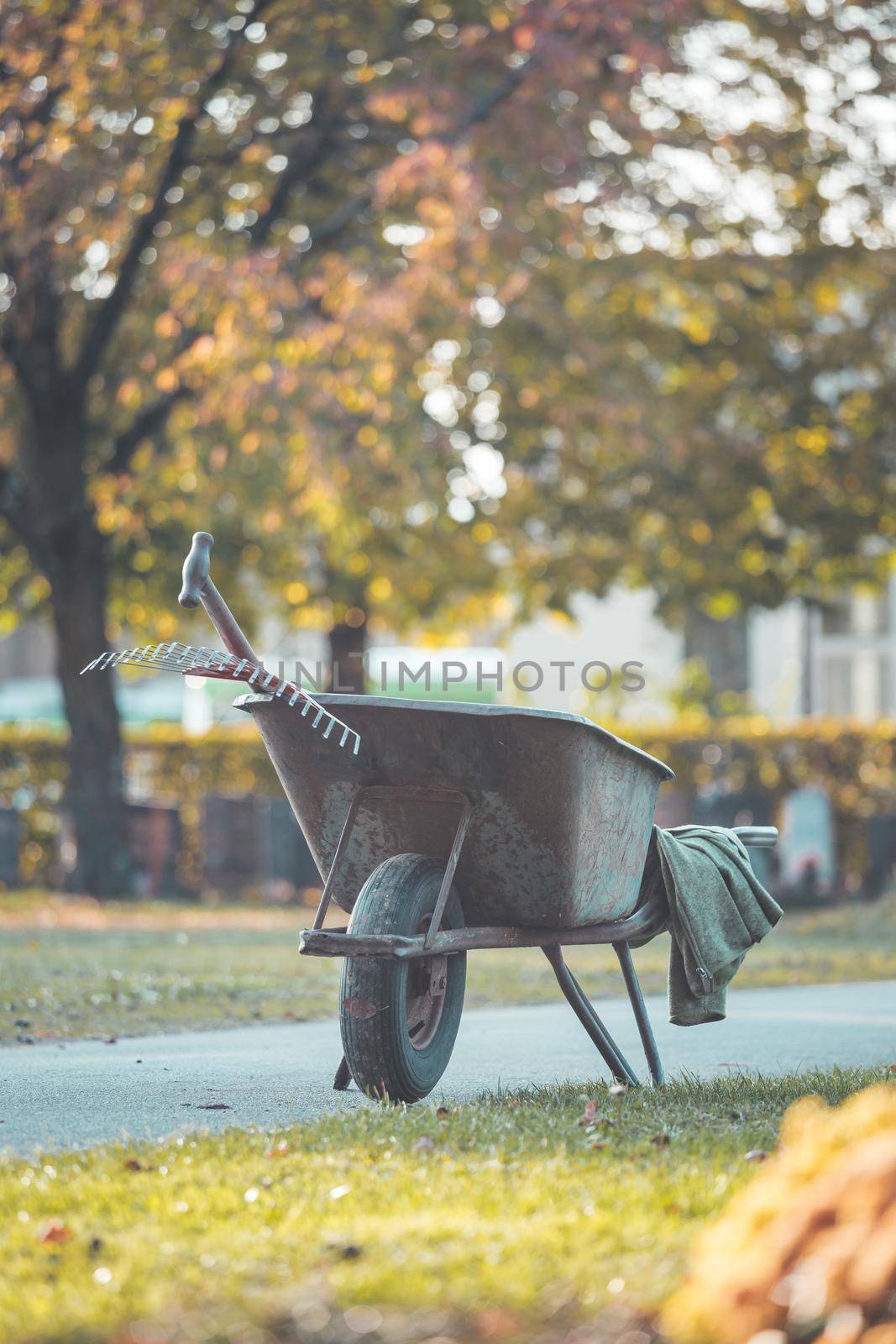 Close up of grey wheelbarrow in a park, gardening