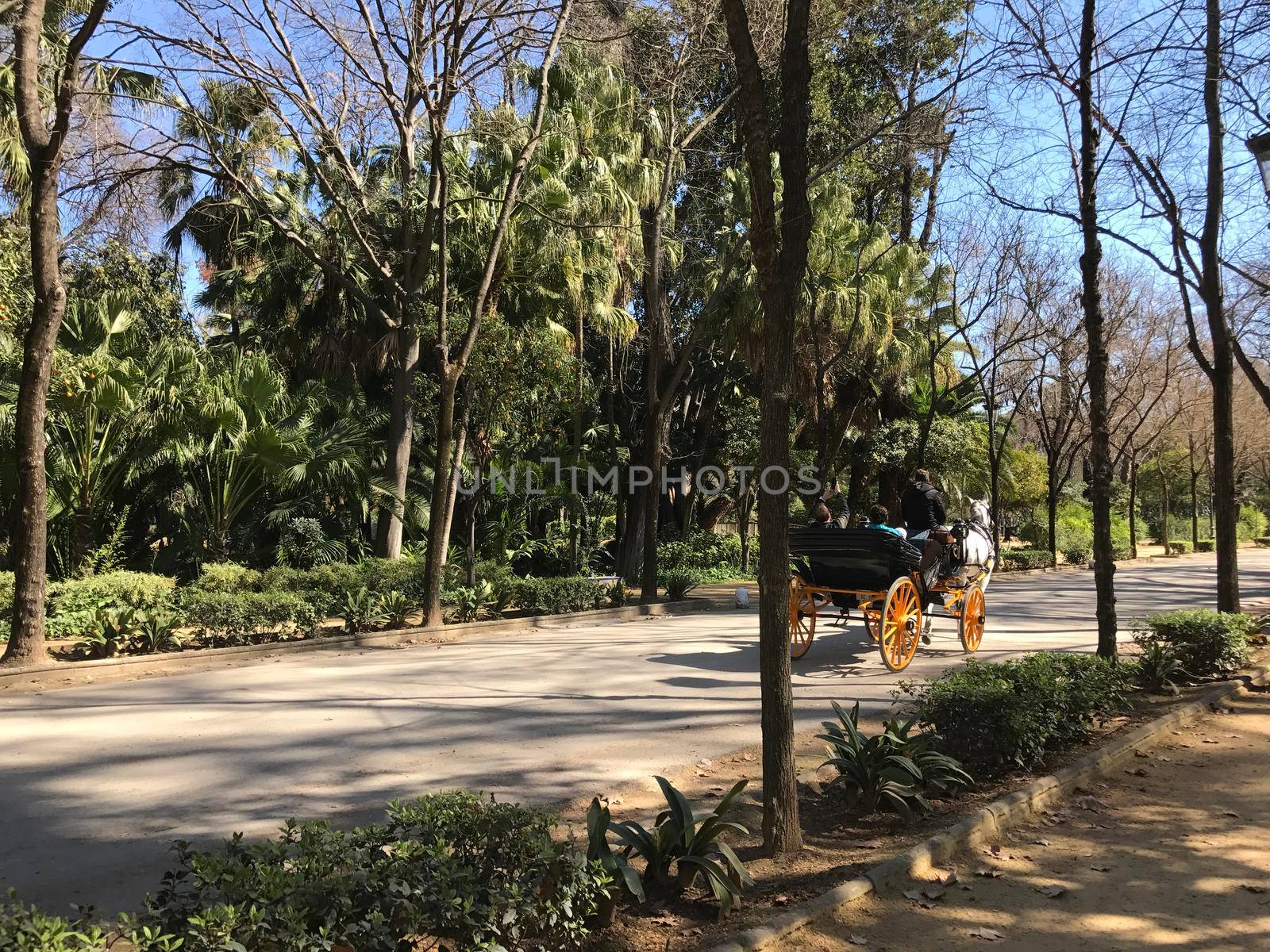 Horse and carriage in Maria Luisa Park by traveltelly
