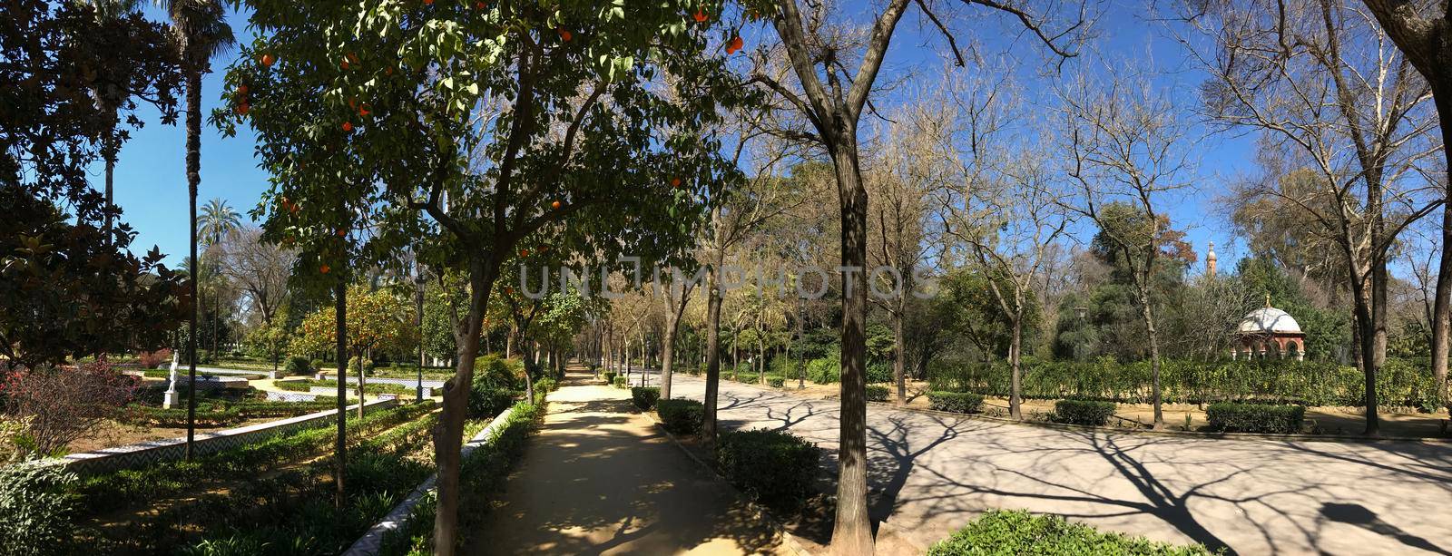 Panorama from the Maria Luisa Park in Seville, Spain