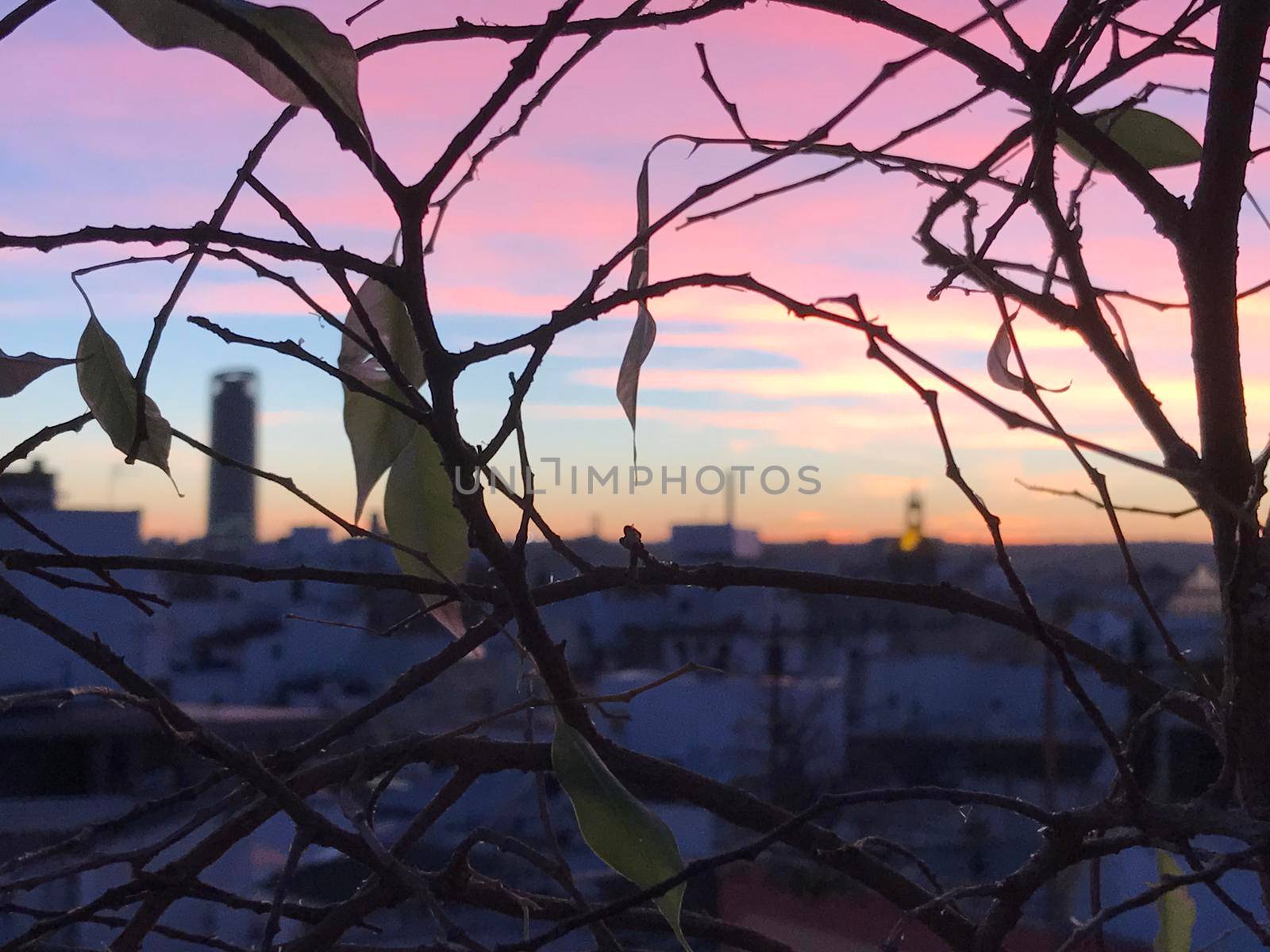 Pink sunset in Seville Spain